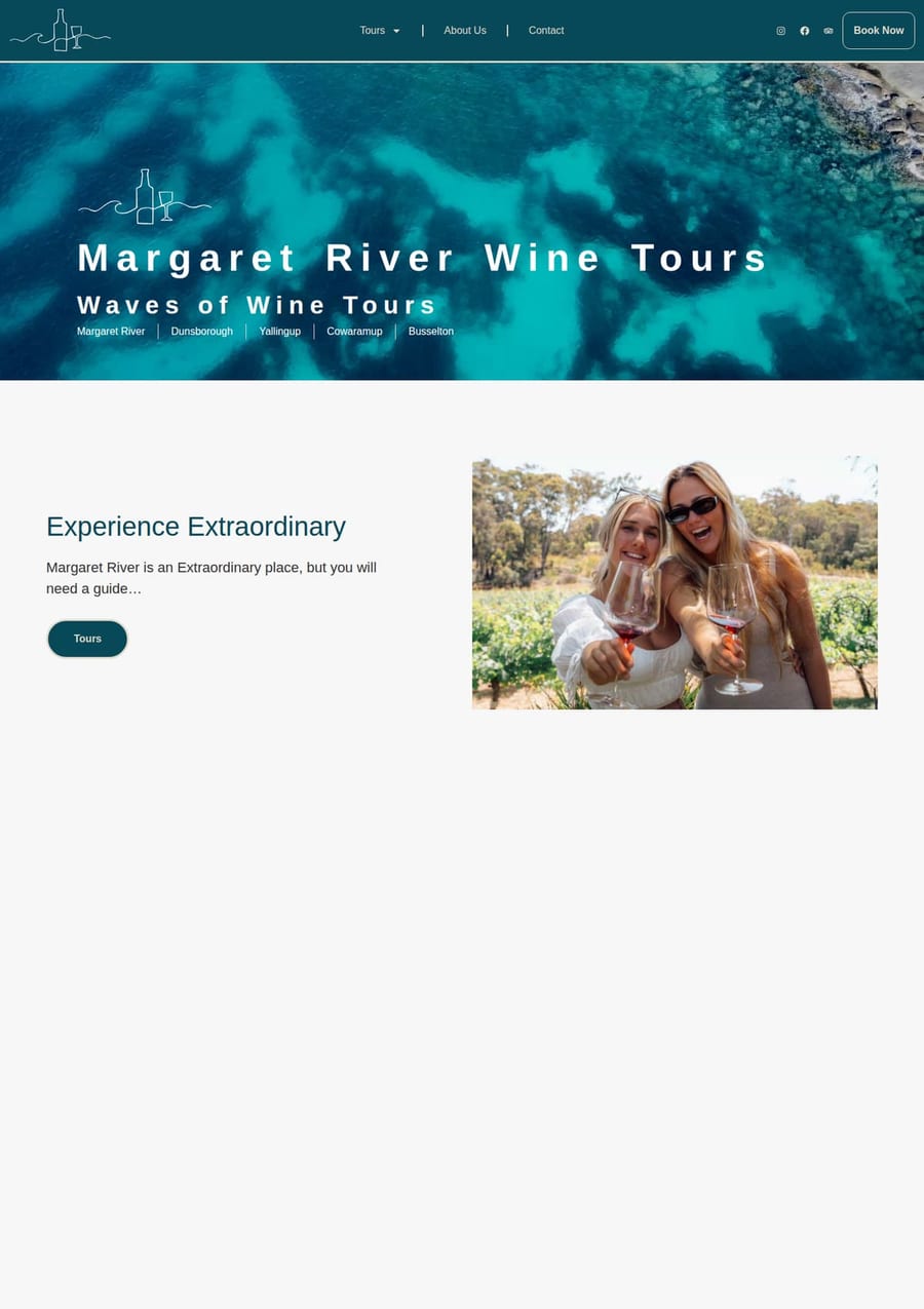 The old Waves of Wine Tours homepage: a photograph of the ocean, the business name, a one-line tagline and a single Tours button