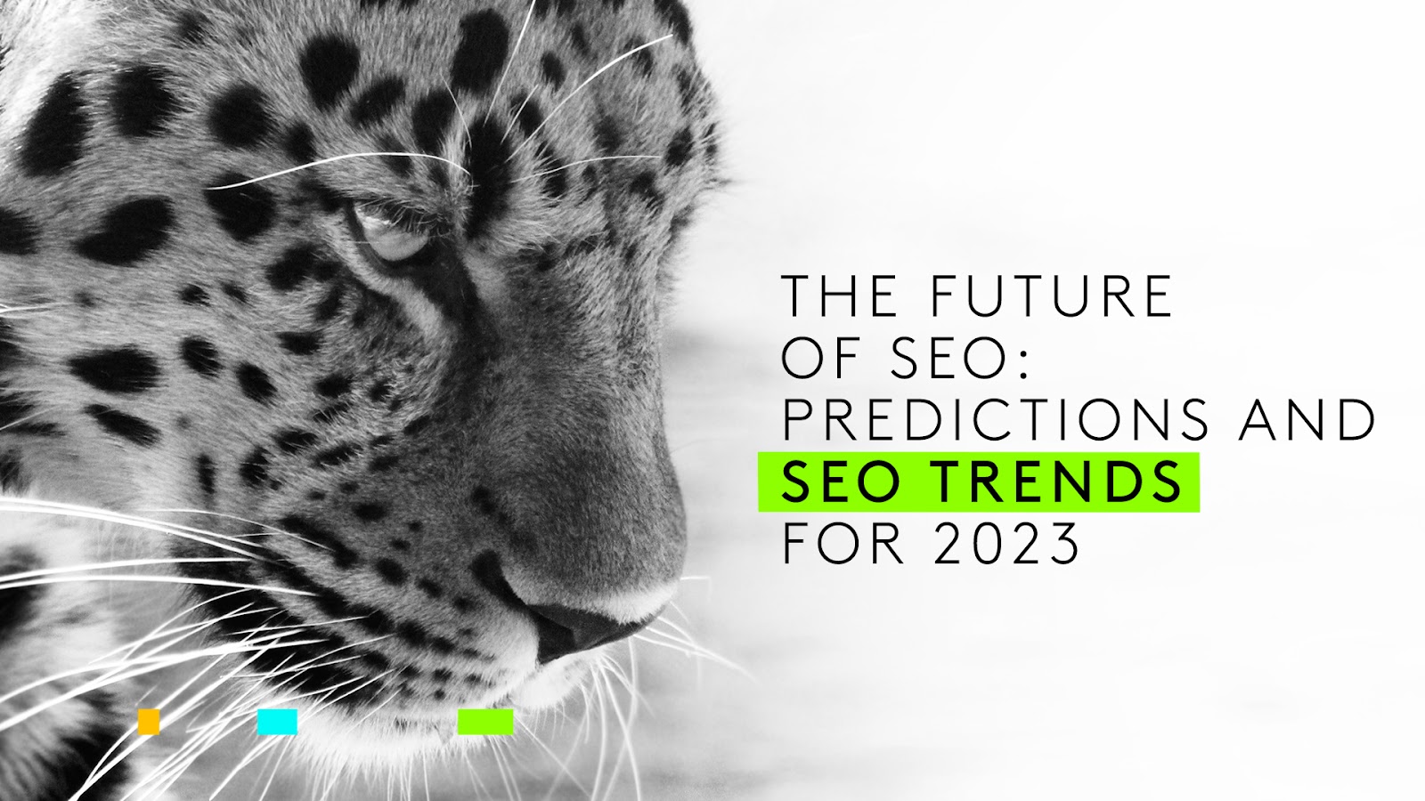 The future of SEO: the trends shaping search in 2026