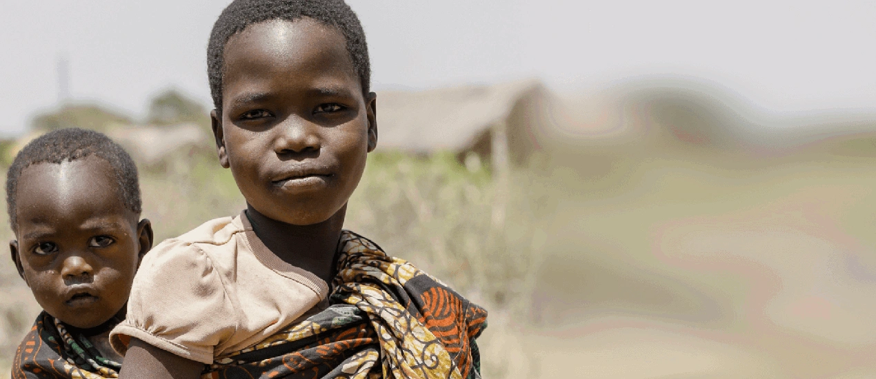 Caritas Australia — NFP SEO case study by Whitehat Agency