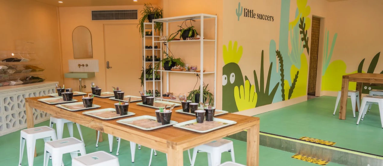 Little Succers — succulent gifting SEO case study by Whitehat Agency